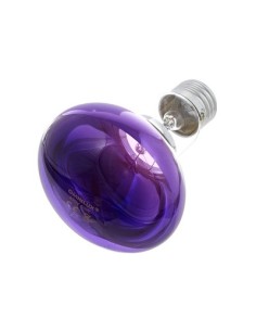 Ledvance r8060v belcolor r80 f80° e27 60w violet