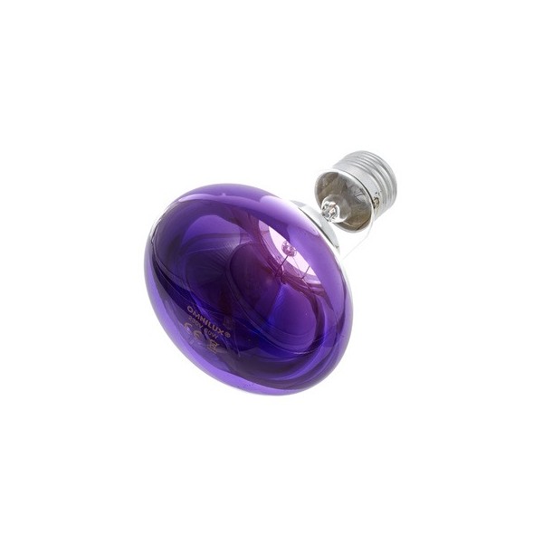 Ledvance r8060v belcolor r80 f80° e27 60w purple