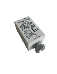 Ignitor 220v accenditore zrm1000 a002 2